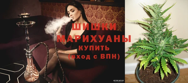 таблы Белокуриха