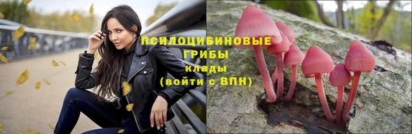 прущая мука Богородицк